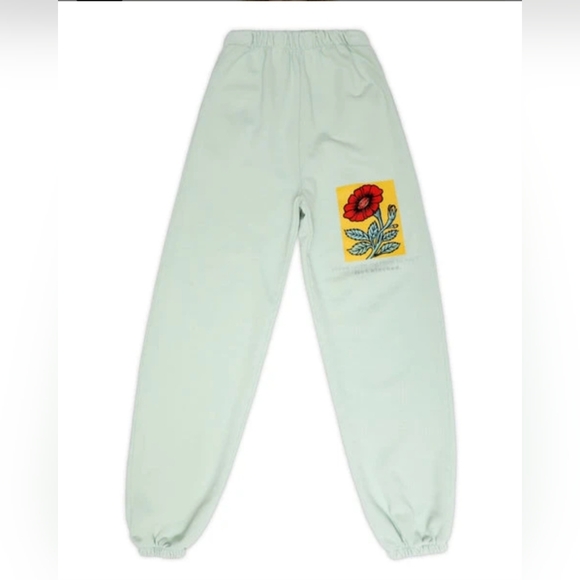 Boys Lie Have nothing nice to say get blocked flower mint green sweatpants - Picture 1 of 14